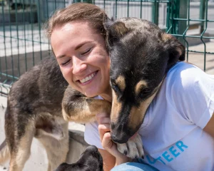 Adocao de Pets - Como adotar de forma responsável_Cachorro_Gato_Guia Definitivo