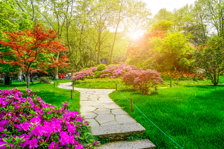 Paisagismo e Jardinagem - Transforme seu Espaço